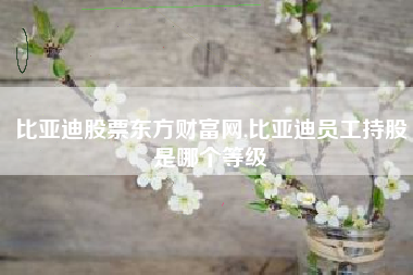比亚迪股票东方财富网,比亚迪员工持股是哪个等级