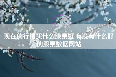 现在的行情买什么股票好,有没有什么好的股票数据网站