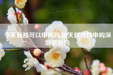 今天新股可以申购吗,明天就可以申购深圳新股吗