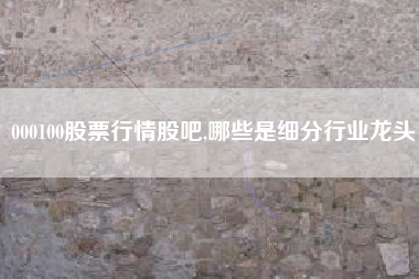 000100股票行情股吧,哪些是细分行业龙头