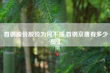 首钢股份股价为何不涨,首钢京唐有多少员工