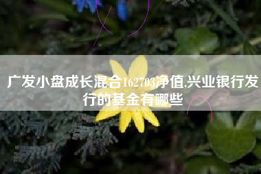 广发小盘成长混合162703净值,兴业银行发行的基金有哪些