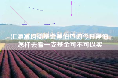 汇添富均衡基金净值查询今日净值,
怎样去看一支基金可不可以买