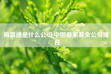 海富通是什么公司,中国最黑基金公司排名