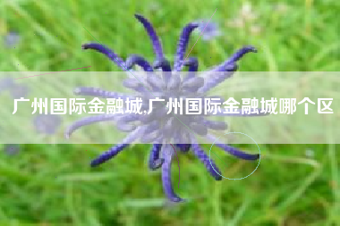 广州国际金融城,广州国际金融城哪个区