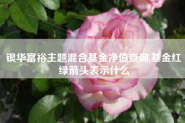 银华富裕主题混合基金净值查询,基金红绿箭头表示什么