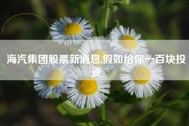 海汽集团股票新消息,假如给你一百块投资