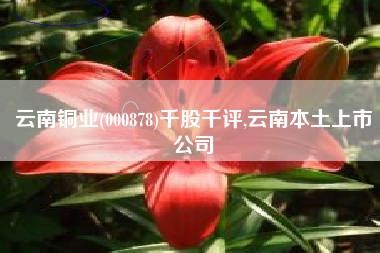 云南铜业(000878)千股千评,云南本土上市公司