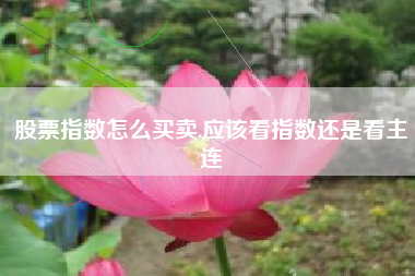 股票指数怎么买卖,应该看指数还是看主连