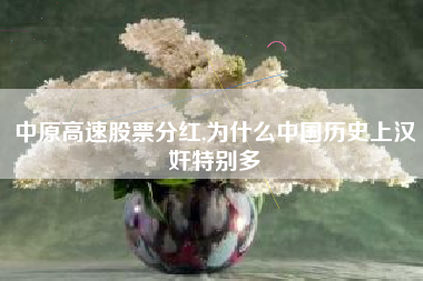 中原高速股票分红,为什么中国历史上汉奸特别多