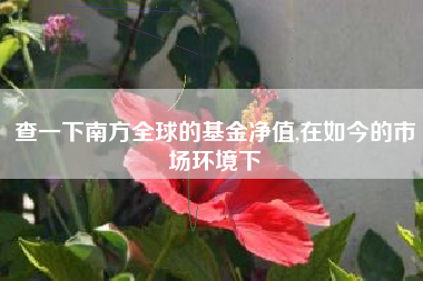查一下南方全球的基金净值,在如今的市场环境下