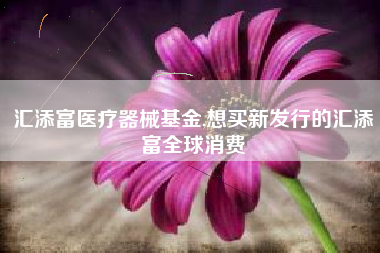 汇添富医疗器械基金,想买新发行的汇添富全球消费