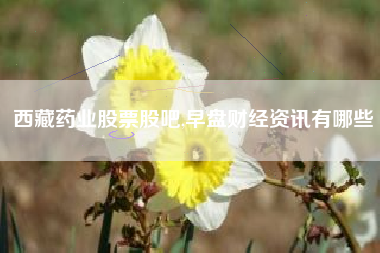 西藏药业股票股吧,早盘财经资讯有哪些