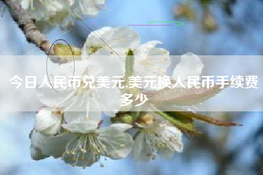 今日人民币兑美元,美元换人民币手续费多少