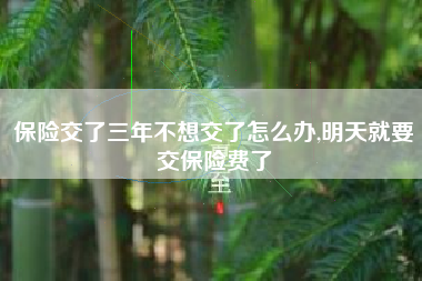 保险交了三年不想交了怎么办,明天就要交保险费了