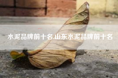 水泥品牌前十名,山东水泥品牌前十名