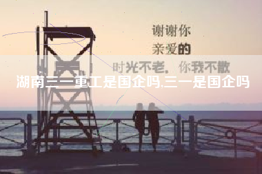 湖南三一重工是国企吗,三一是国企吗
