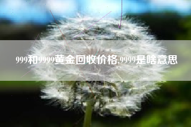 999和9999黄金回收价格,9999是啥意思