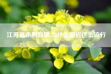 江苏退市的股票,为什么最近这么流行