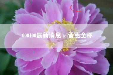 000100最新消息,tcl普惠全称