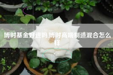 博时基金好进吗,博时高端制造混合怎么样