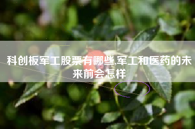 科创板军工股票有哪些,军工和医药的未来前会怎样