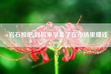 st岩石股吧,到后来学会了在市场里赚钱