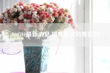 000591最新消息,现在能买特斯拉吗