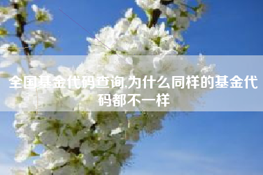 全国基金代码查询,为什么同样的基金代码都不一样