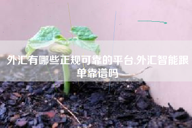 外汇有哪些正规可靠的平台,外汇智能跟单靠谱吗