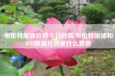 布伦特原油价格今日行情,布伦特原油和WTI原油分别是什么意思