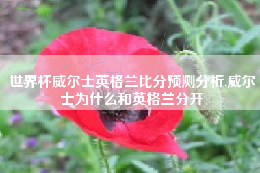 世界杯威尔士英格兰比分预测分析,威尔士为什么和英格兰分开