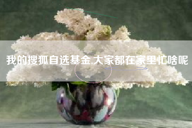 我的搜狐自选基金,大家都在家里忙啥呢