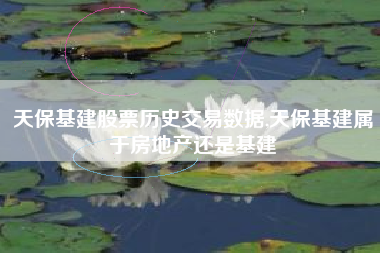 天保基建股票历史交易数据,天保基建属于房地产还是基建