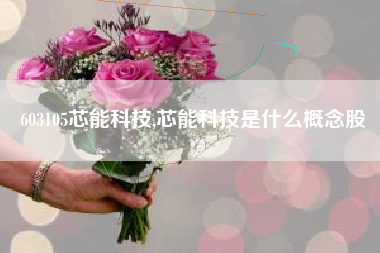 603105芯能科技,芯能科技是什么概念股