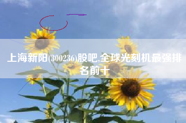 上海新阳(300236)股吧,全球光刻机最强排名前十