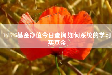 161725基金净值今日查询,如何系统的学习买基金