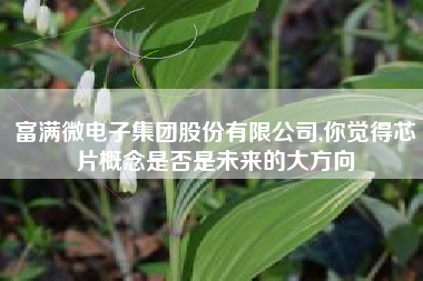 富满微电子集团股份有限公司,你觉得芯片概念是否是未来的大方向