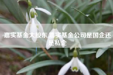 嘉实基金大股东,嘉实基金公司是国企还是私企