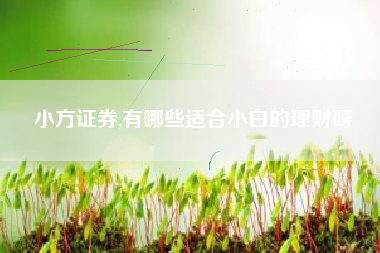 小方证券,有哪些适合小白的理财呀
