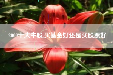 2009十大牛股,买基金好还是买股票好