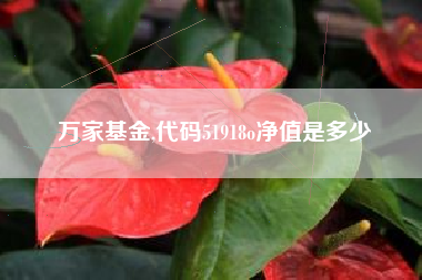万家基金,代码51918o净值是多少