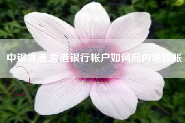 中银香港,香港银行帐户如何向内地转账