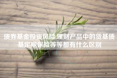 债券基金投资风险,理财产品中的货基债基定期保险等等都有什么区别