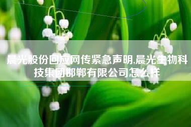 晨光股份回应网传紧急声明,晨光生物科技集团邯郸有限公司怎么样