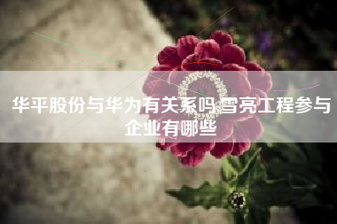 华平股份与华为有关系吗,雪亮工程参与企业有哪些