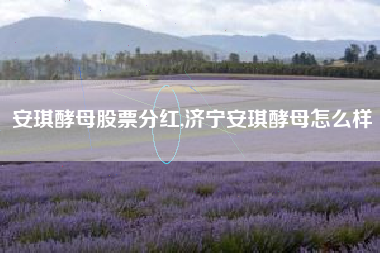 安琪酵母股票分红,济宁安琪酵母怎么样