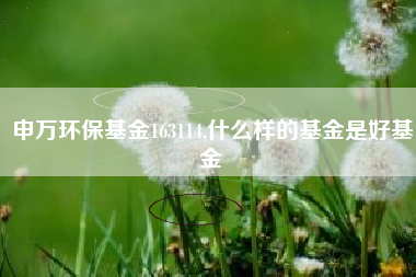 申万环保基金163114,什么样的基金是好基金
