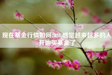 现在基金行情如何2021,感觉越来越多的人开始买基金了