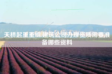 天桥起重重组,建筑公司办理资质需要准备哪些资料